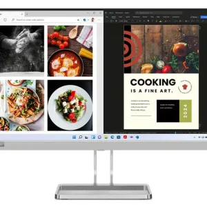 Lenovo L24i-40 23.8" 1920x1080 FHD 100Hz Cloud Gray