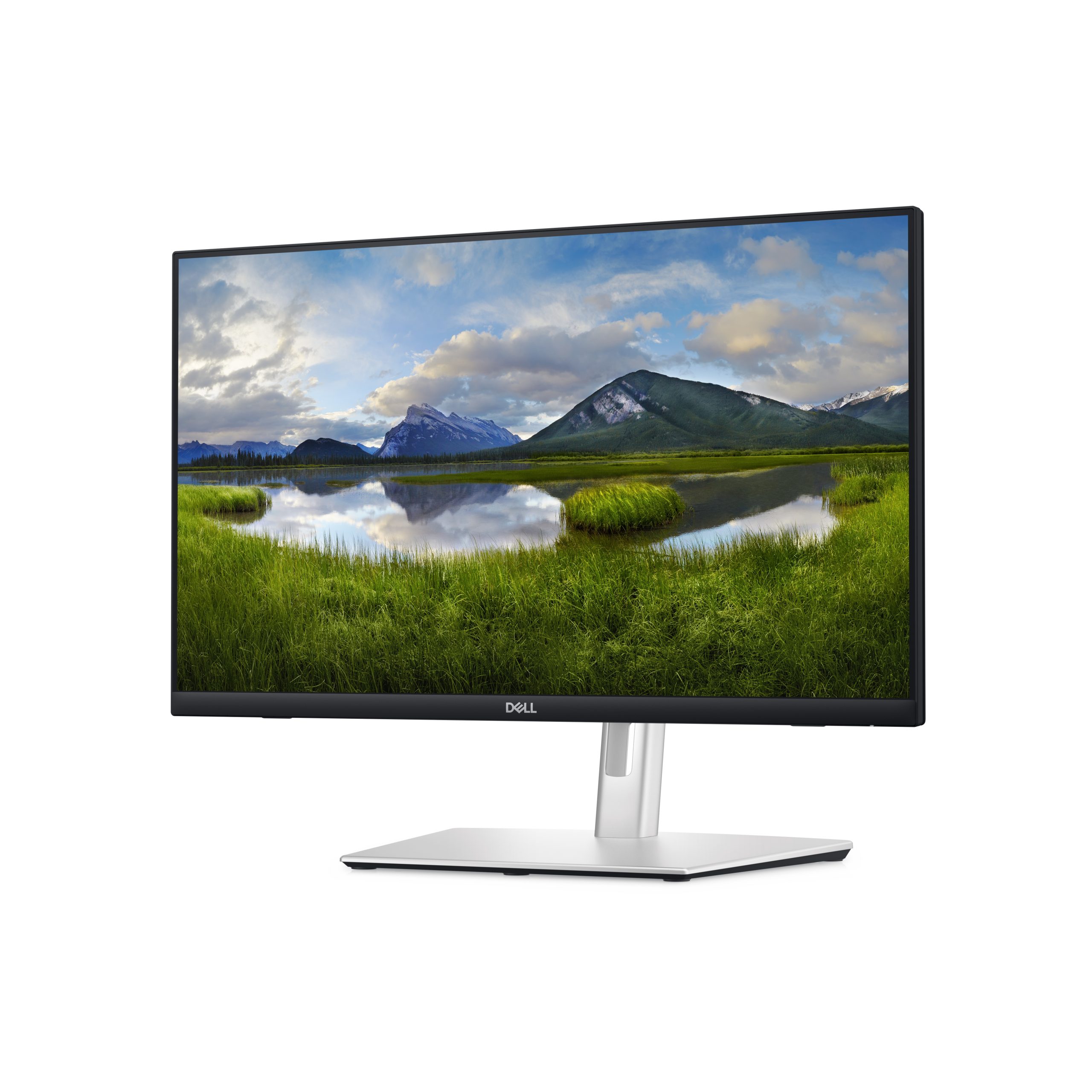 Dell 24 Touch Hub Mon P2424HT