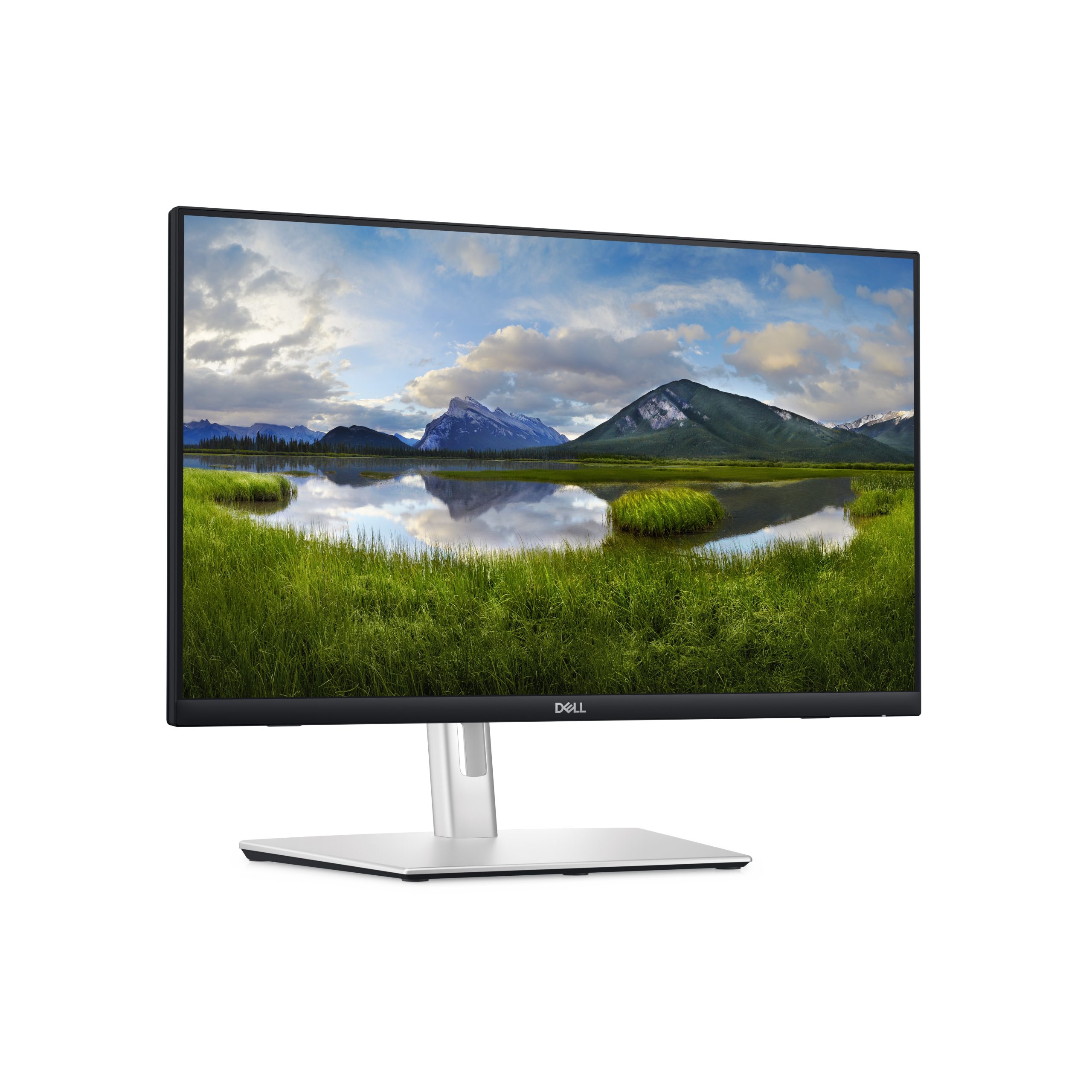 Dell 24 Touch Hub Mon P2424HT