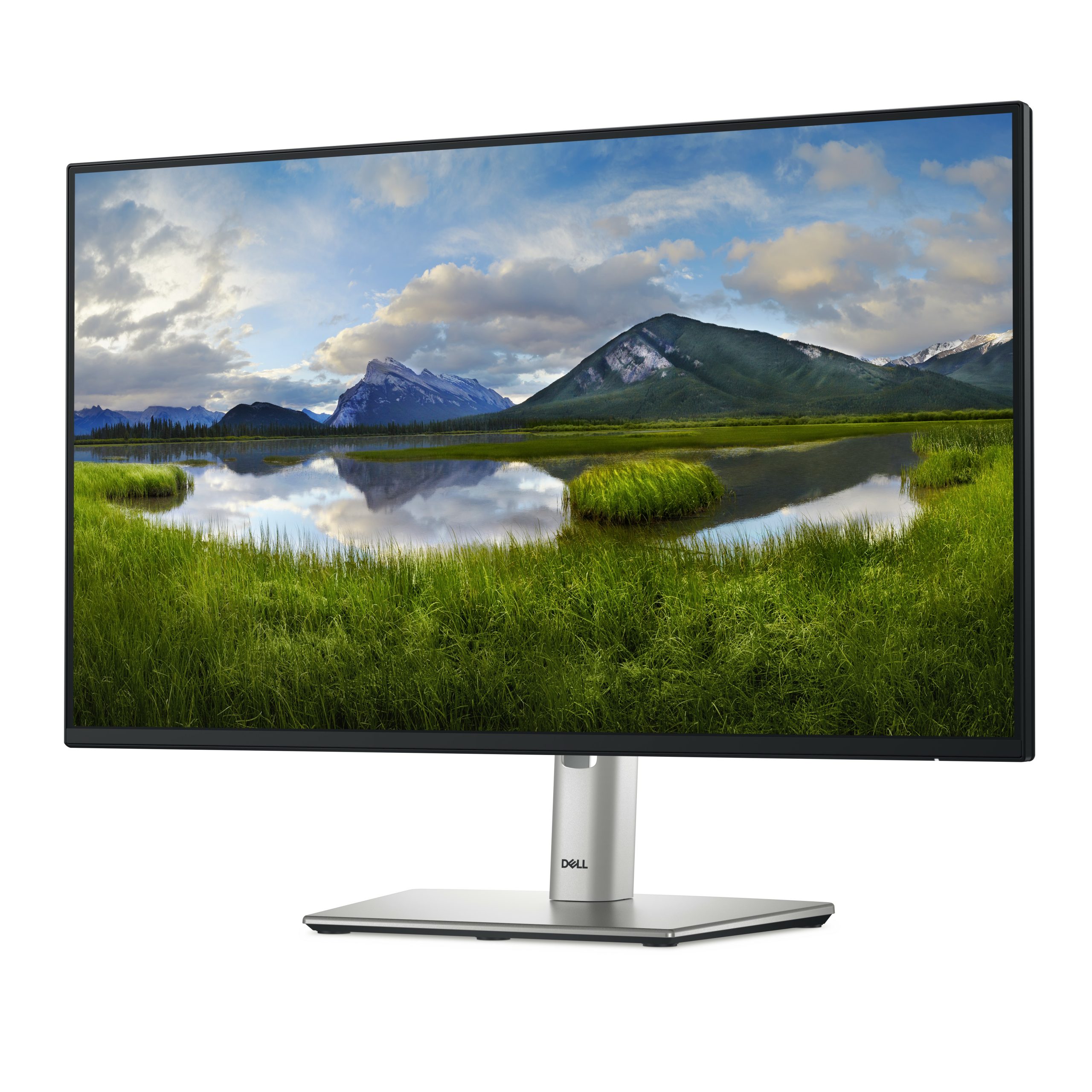 Dell 24 Monitor – P2425H