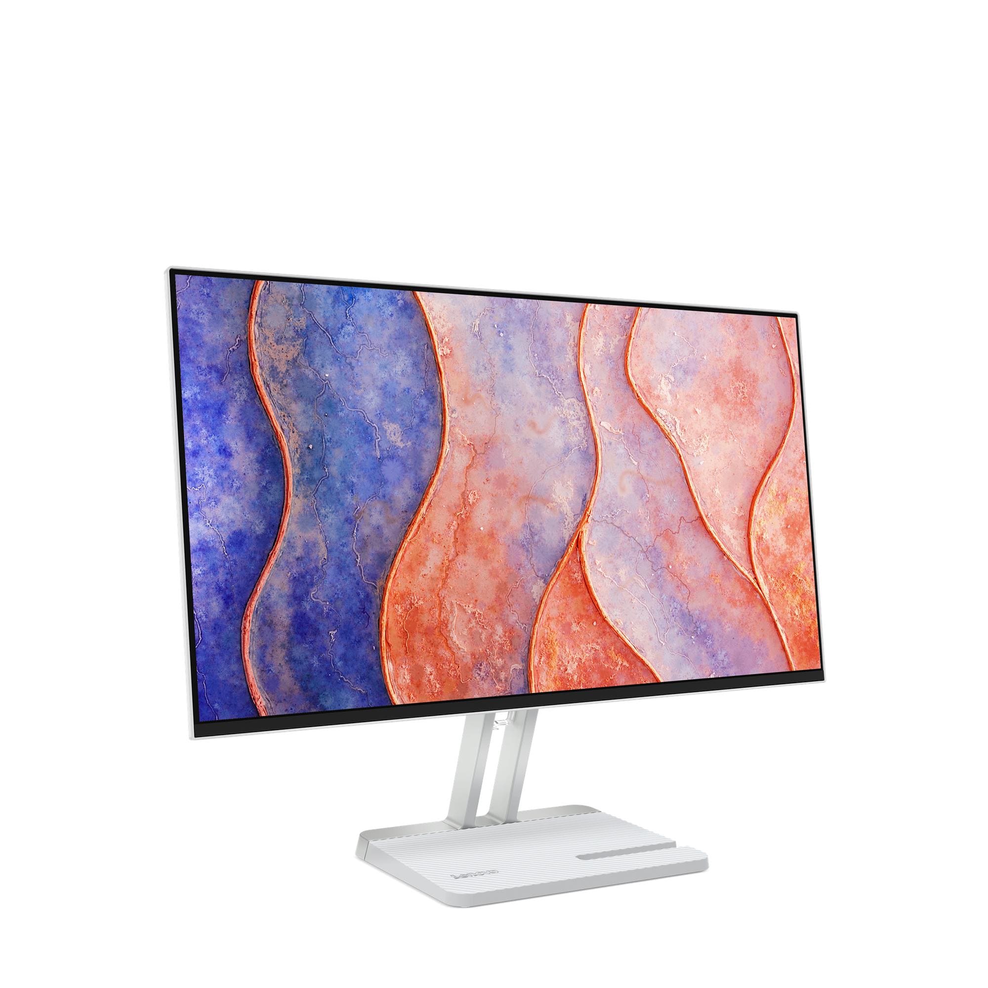Lenovo L24C-4C Monitor