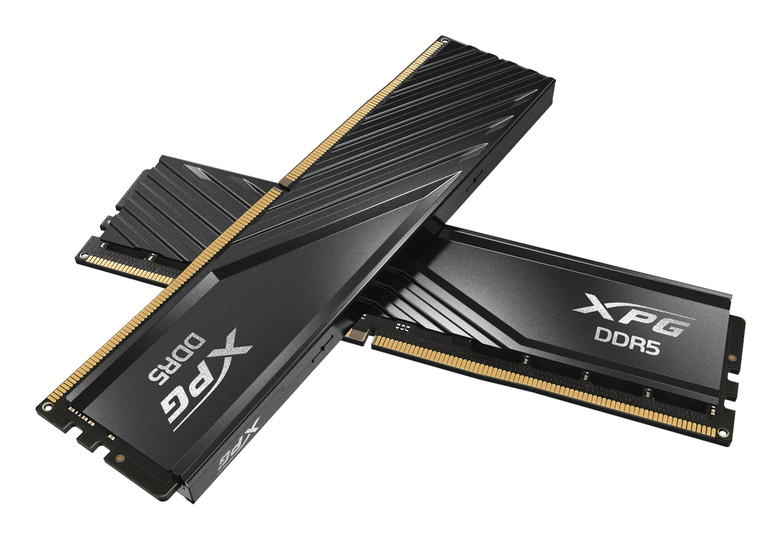 XPG 32GB 5600MHz DDR5