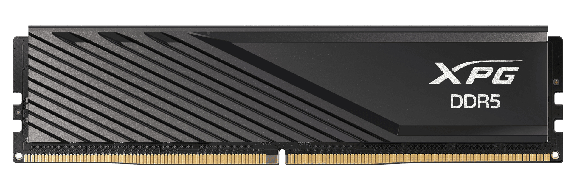 XPG 32GB 5600MHz DDR5