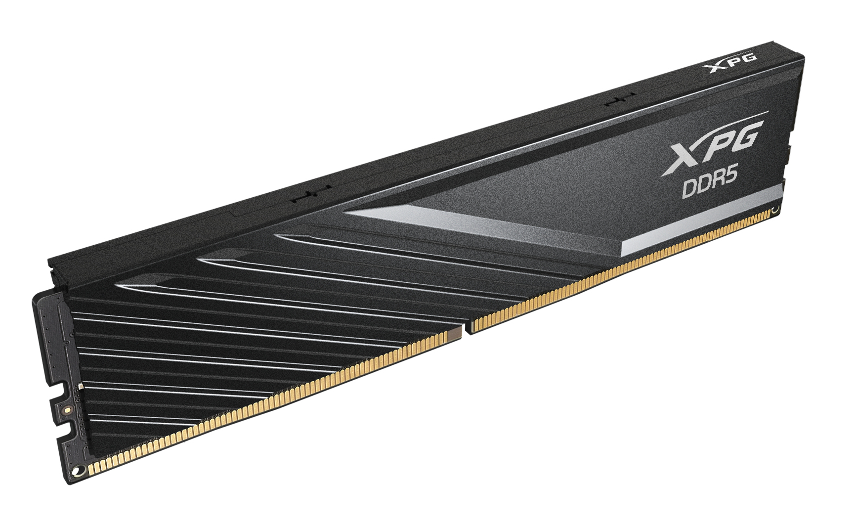 XPG 32GB 5600MHz DDR5