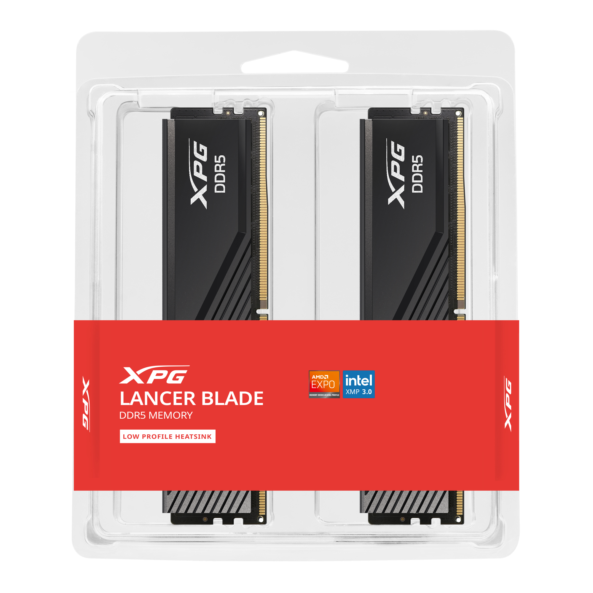 XPG 32GB 5600MHz DDR5