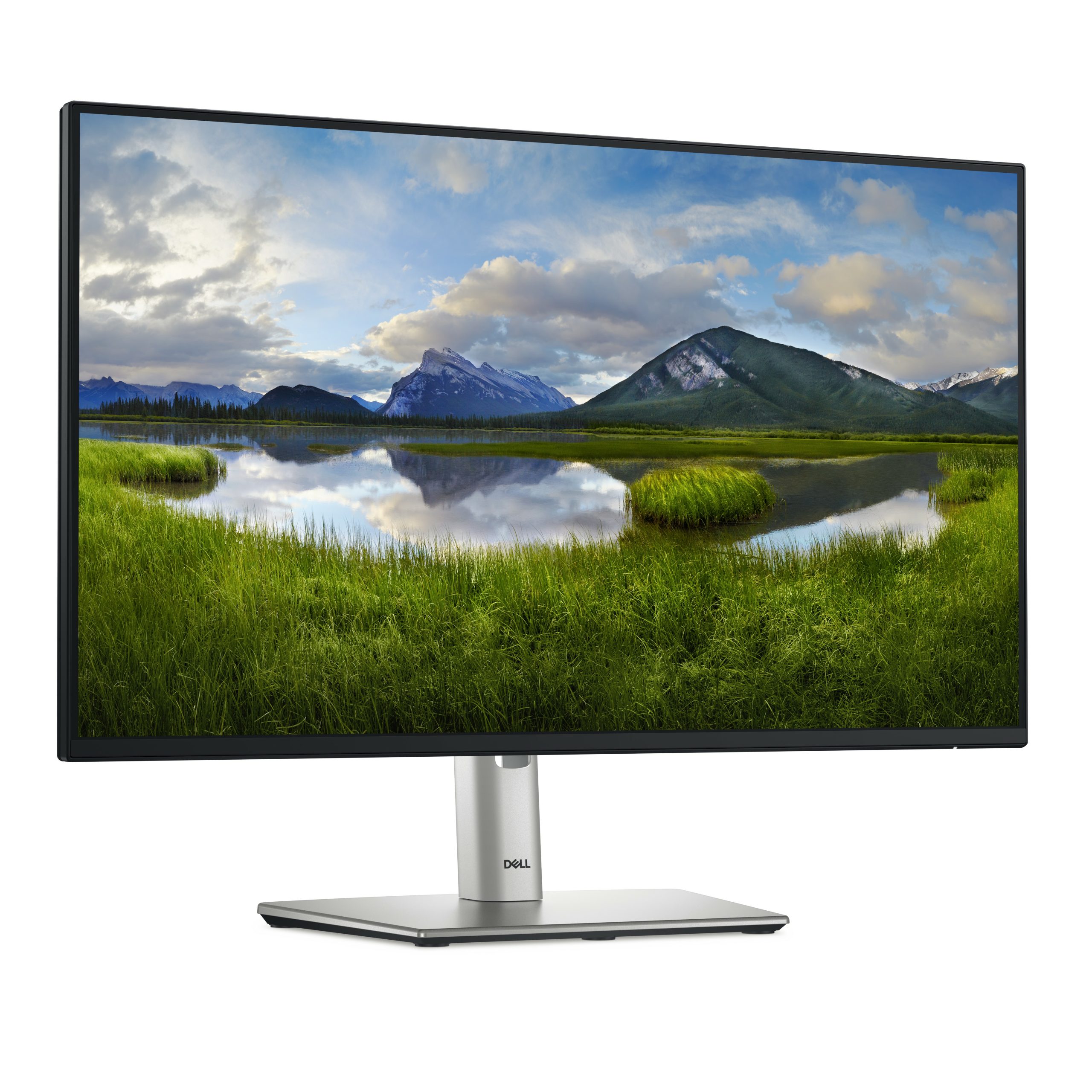 Dell Dell P2425H – FHD/IPS/HDMI/VGA/USB-C 24” Monitor