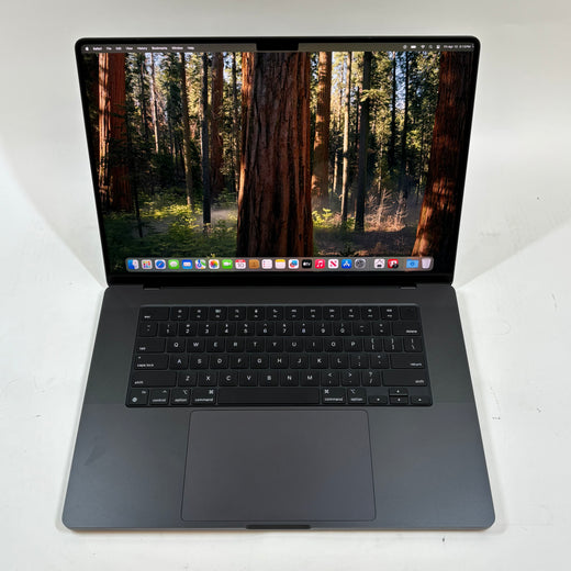 Apple MacBook Pro M4 MAX 14-Core CPU 32-core GPU 1TB SSD 36GB 16.2” (3456×2234) Liquid Retina XDR MacOS SPACE BLACK